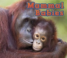 Mammal Babies (Animal