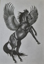 Large Original Pencil Drawing