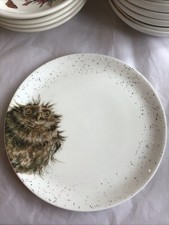 BNWOT Royal Worcester Wrendale