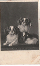 Vintage Postcard showing Day