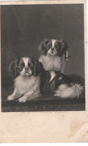 Vintage postcard showing - vintage,