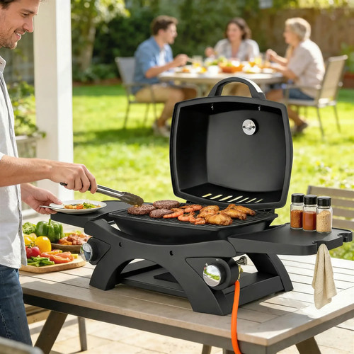 2burner gas barbecue grill - 2burner,