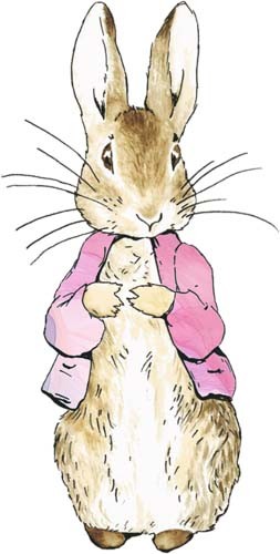 Peter rabbit watercolour wall - watercolour,