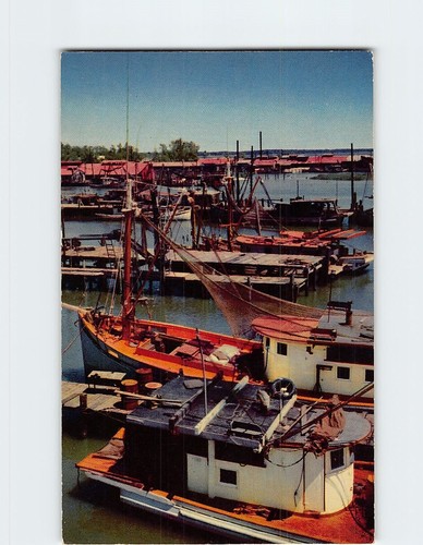 Postcard shrimp boats - postcard,