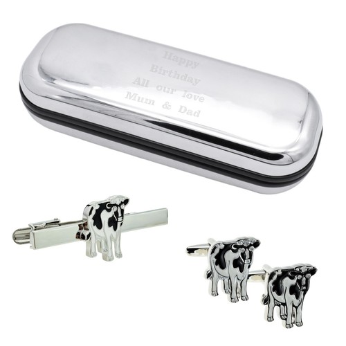 Friesian dairy cow farm - farm, tie