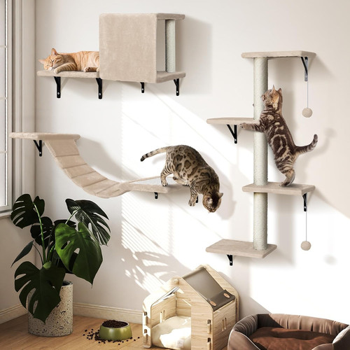 Cat shelves sturdy - shelves,,