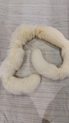 White fox fur - fox, neck