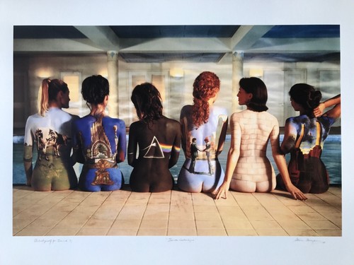 Pink floyd back catalogue - pink, catalogue'