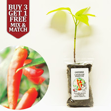 Cayenne - Cooking Chilli