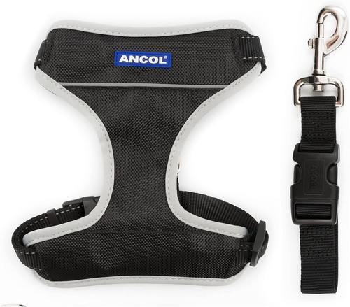 Ancol travel and - and, exercise
