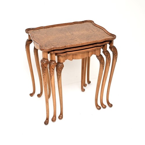 Antique burr walnut nest - antique,