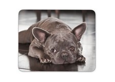 Cute French Bulldog Puppy PC Computer Mouse Mat Pad