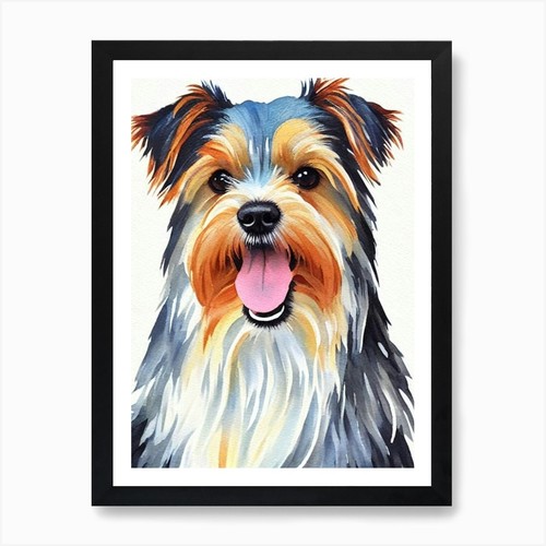 Silky terrier watercolour - 2,