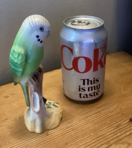Green white budgerigar - &,