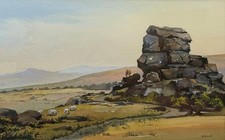 A View of Dartmoor National