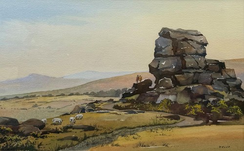 View dartmoor national - a, of