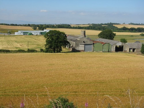 Photo myrehead and abattoir - myrehead,