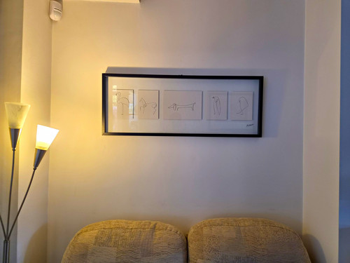 Pablo picasso framed animal - framed,