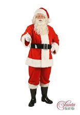 Professional Father Christmas