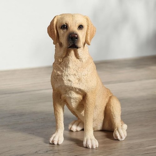 Sitting labrador retriever - sitting,