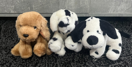 Bundle small puppy - bundle, dog