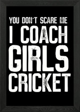 Cricket Trainer Framed Wall