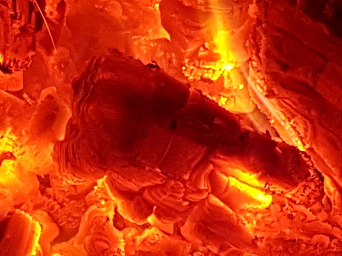 Hardwood logs kiln - hardwood, dried