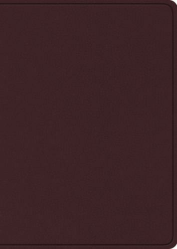 Esv study bible - bible,, print