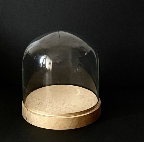 Glass display cloche - glass, jar