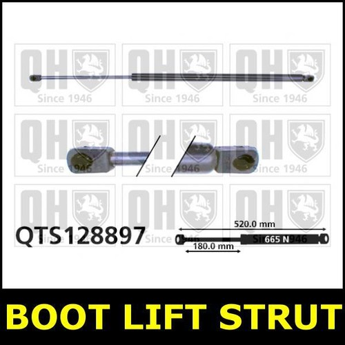 Boot gas strut tailgate - strut, for