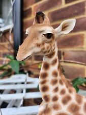 Zoo Pet Pals Baby Giraffe Home