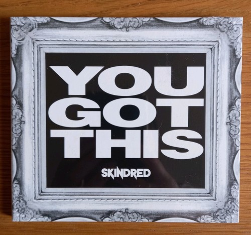 Skindred you got this - skindred,