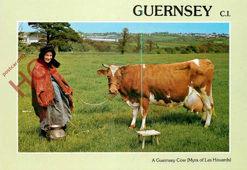 Picture postcard guernsey - picture,