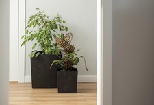 Square plant pot concrete - square,