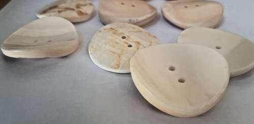 Natural clam shell discs - shell,
