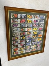 WD & HO Wills GARDEN FLOWERS Cigarette Cards Set of 50 in frame