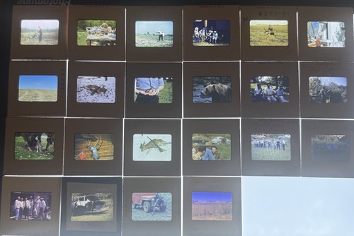 Lot vintage hunting - lot,