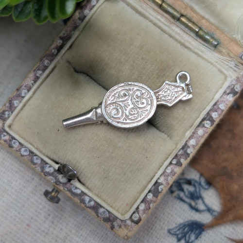 Vintage silver fire bellows - fire,