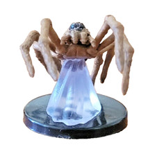 Giant Wolf Spider - Fangs &