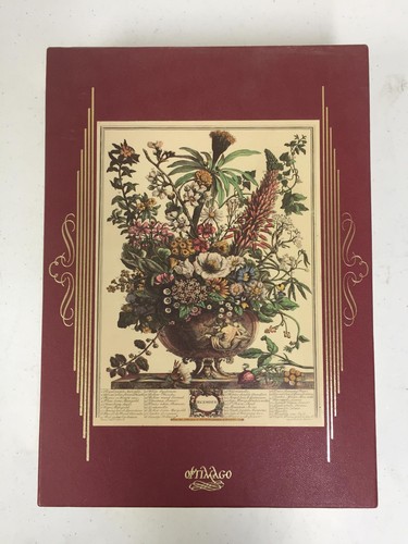 Optimago furber flower - optimago,