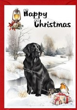 Flatcoated Retriever Dog