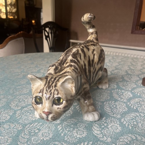 Large winstanley tabby cat - winstanley,