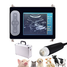 Portable Veterinary Ultrasound