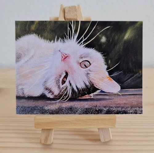 Fine art print - fine, cat