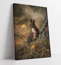 CUTE SQUIRREL SITTING BESIDE