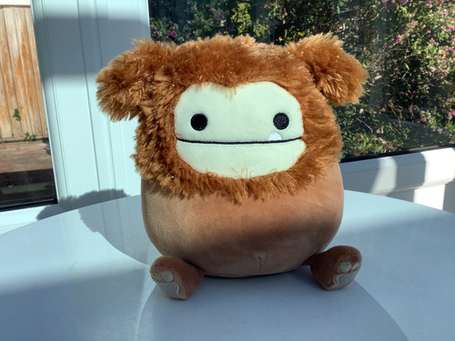 Benny sparkle squishmallow