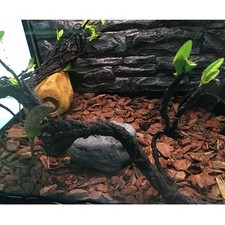  Vivarium Decoration Climbing Branch Rattan Toys Lizard Vines Reptile Habitat