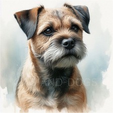 Border terrier watercolour - terrier,