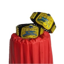 WWE Elite Mattel Ruthless Aggression Smackdown Tag Team Titles For Figures (78)