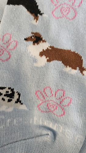 Set collie dog ladies - set,
